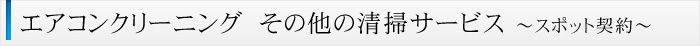 エアコンクリーニング　その他の清掃サービス ～スポット契約～